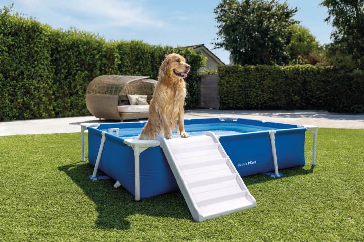 Pets Intex