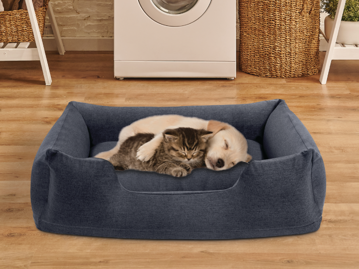 Pets Intex